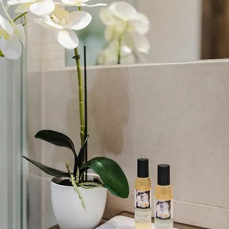 Ijg Imperial Krupowki 아파트